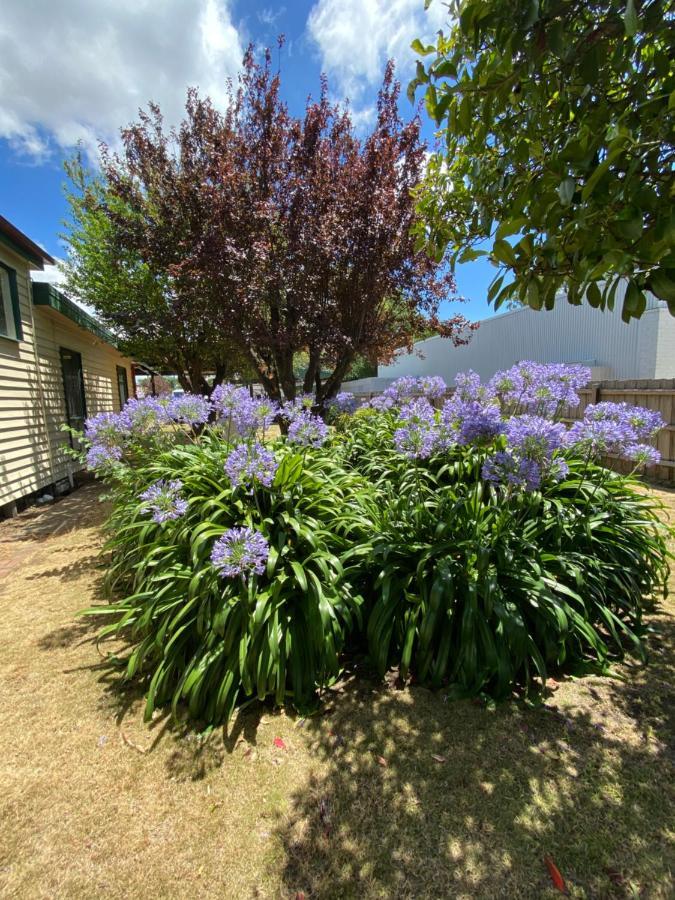 Delightful And Charming Rose Cottage Kilmore Extérieur photo